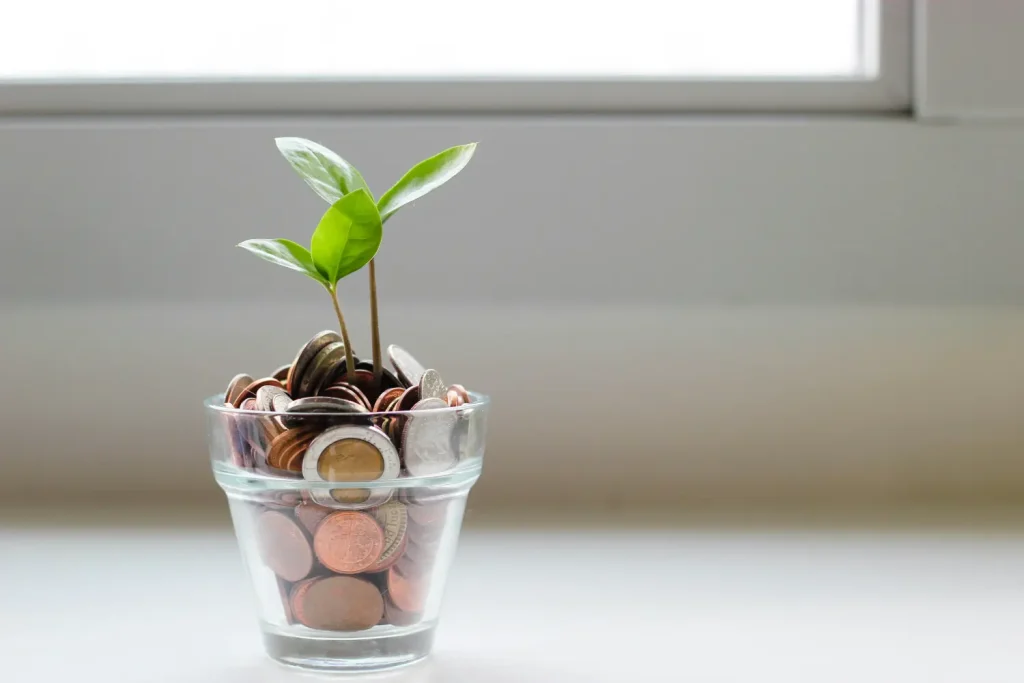 Klimaatadaptatie
